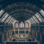 arches-architectural-design-architecture-135018