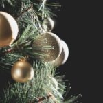 alisha-williams-497839-unsplash