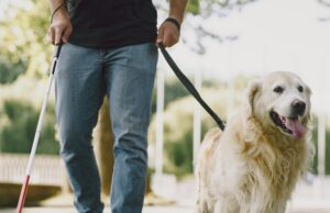 Can Assistance Animals In HOA Communities Be Restricted?