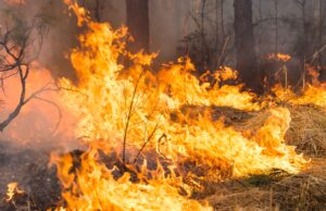 Owners Still Paying HOA Fees on Homes That Burned Down Months Ago