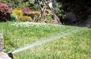 Facing near-drought, NJ asks residents to conserve water