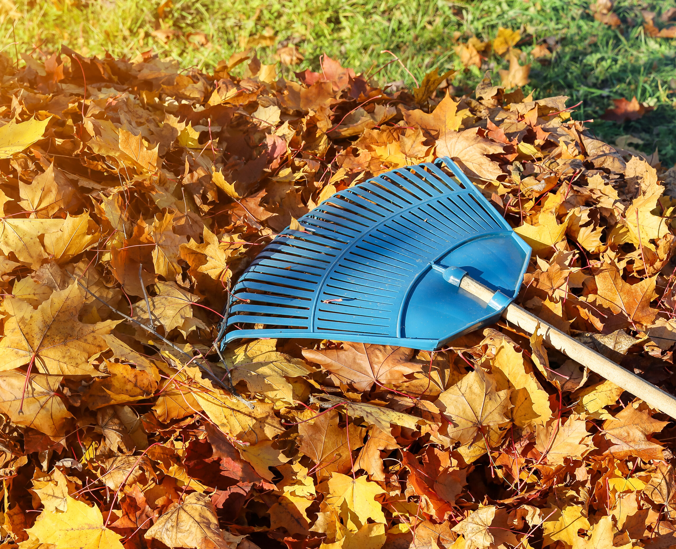 Fall Home Maintenance Tips for Keeping Your Home in Top Condition